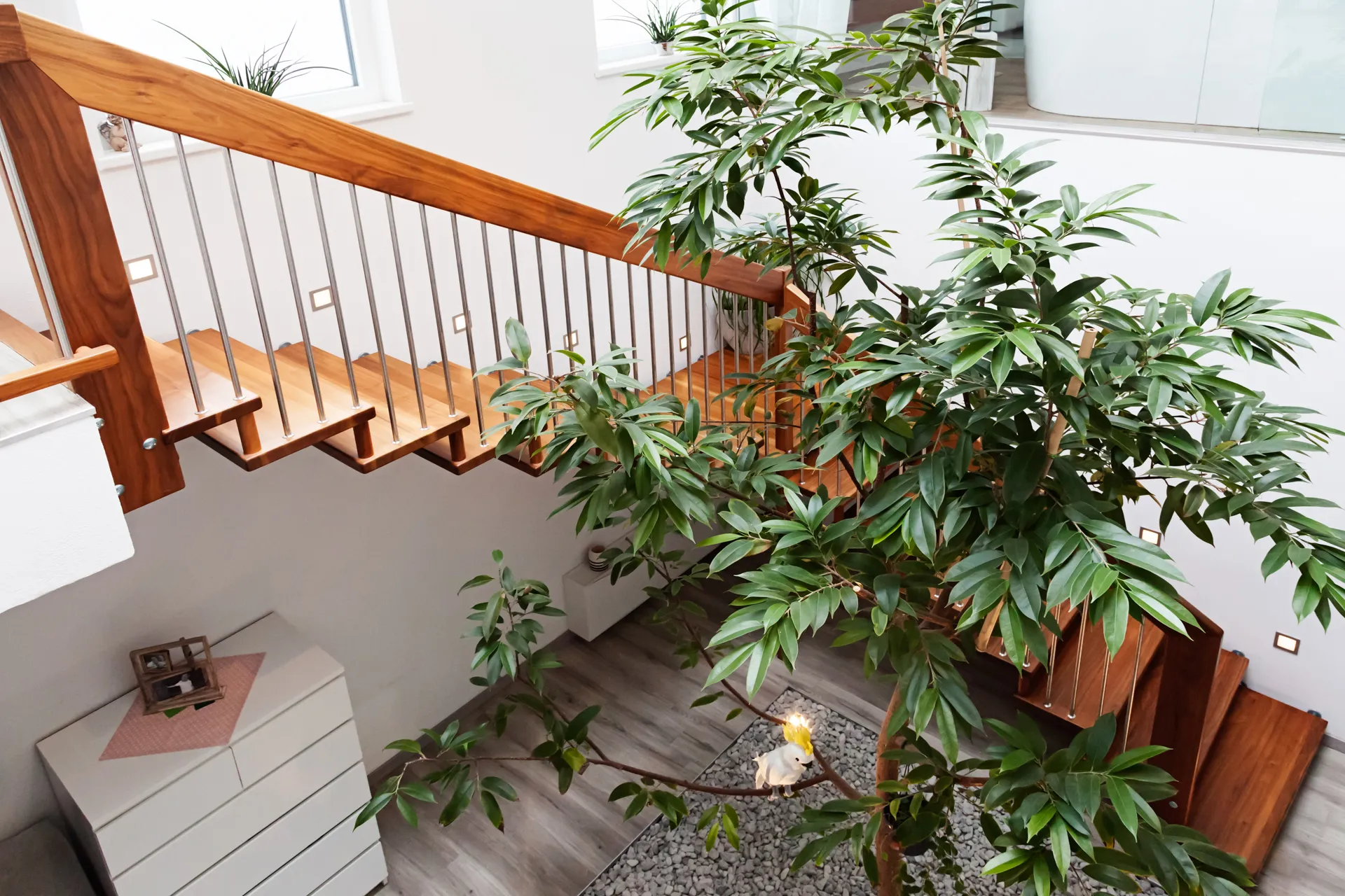 Freitragende Massivholztreppe mit Edelstahlstäben, daneben ein Baum im Innenhof des Hauses